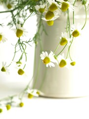 花瓶に飾ったカモミールの花、ハーブのインテリア
