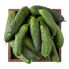 Freshly picked cucumbers in wooden box isolated. Top view.