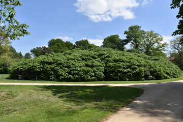 Park Mużakowski, Łęknica, Lubuskie, wpisany na listę UNESCO