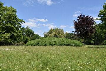 Obraz premium Park Mużakowski, Łęknica, Lubuskie, wpisany na listę UNESCO