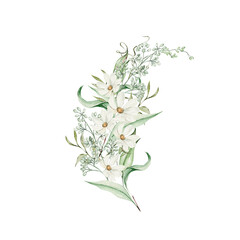 Watercolor bouquet with chamomile and green leaves.
