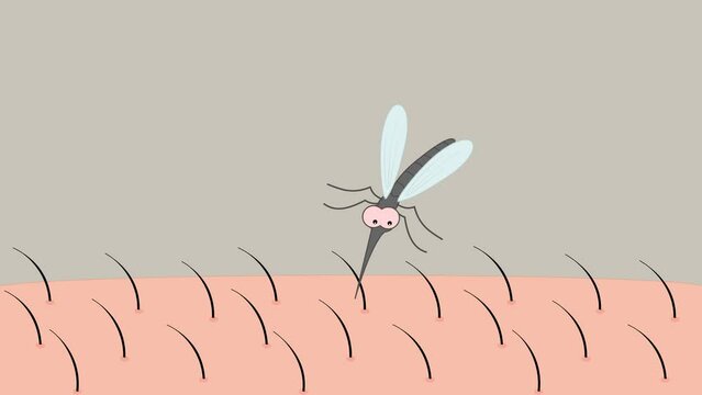 A mosquito that will bite a skin, with green background - animation