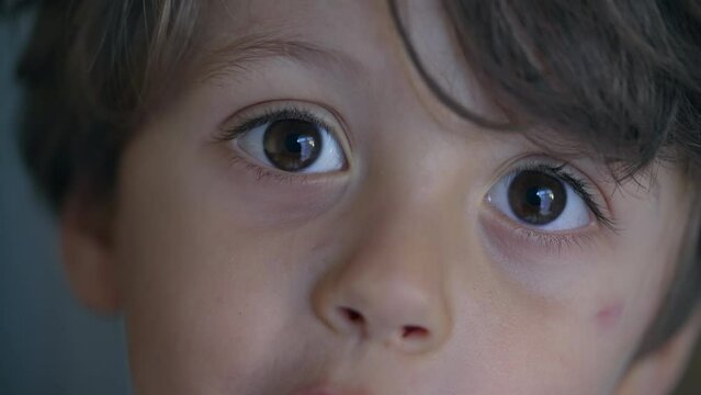Child macro close up eyes and face looking at camera. Small boy kid eye