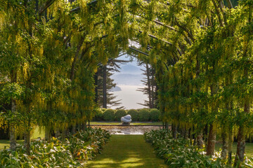 View through a garden into the distance