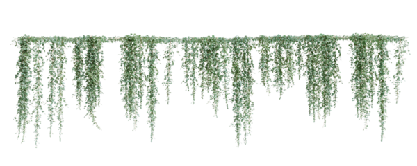 Group of Dichondra creeper plants, isolated on transparent background. 3D render.