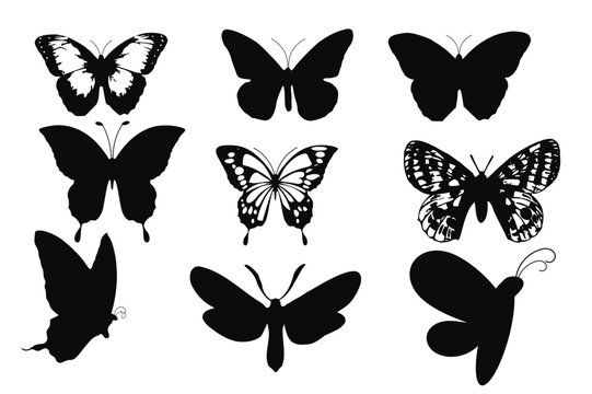 Set of silhouettes of butterflies