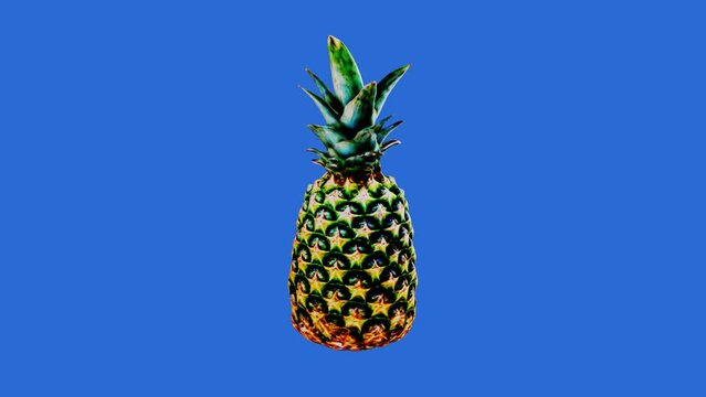 3d model of a pineapple on a blue background. 360 degree rotating
