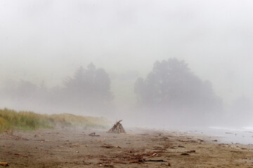 Beach in dense fog on banks Peninsula, new Zealand 