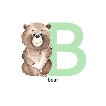 Letter B, baby bear, cute kids colorful animal ABC alphabet. Watercolor illustration isolated on white background.
