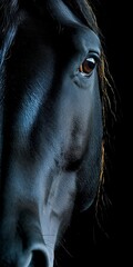 Portrait of a Black Horse - AI Generative