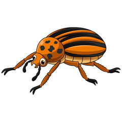 Colorado beetle cartoon on white background
