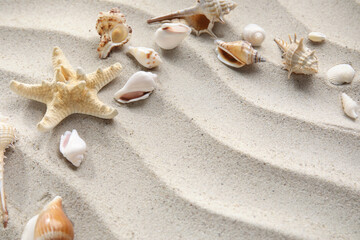 Fototapeta na wymiar Frame made of starfish and seashells on sand