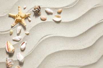 Fototapeta na wymiar Frame made of starfish and seashells