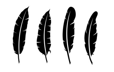 set of feather silhouettes - vector illustration