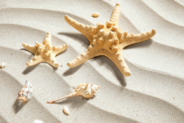 Starfishes and seashells on sand