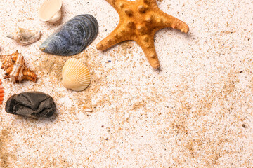 Fototapeta na wymiar Seashells and starfish with sand on white background