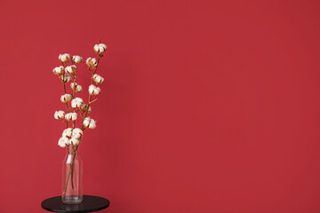 Fototapeta premium Vase of cotton sprigs on small coffee table near red wall