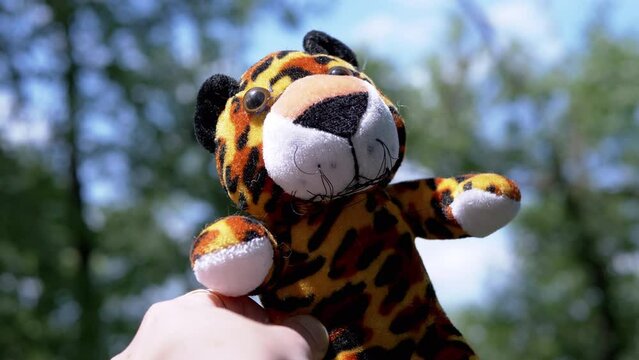 Hand Stretches a Soft Toy of a Tiger to Sun on a Blurred Background of Nature. Close up. Girl is playing with a toy plush leopard in a deciduous forest in the sun. Background of trees, sky. Childhood.