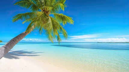 Fototapeta na wymiar Beautiful natural tropical landscape, beach with white sand and Palm tree leaned over calm wave. Turquoise ocean on background blue sky with clouds on sunny summer day, island Maldives