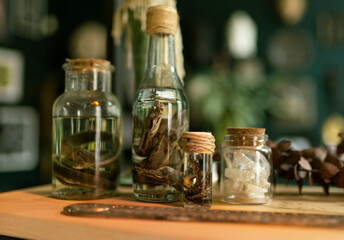 Specimen of snake preserved in solution formaldehyde on dark background. Glass jar with poisonous dead snake.	