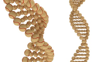DNA helix made with Baseball Sport Genetics concept 3D rendering