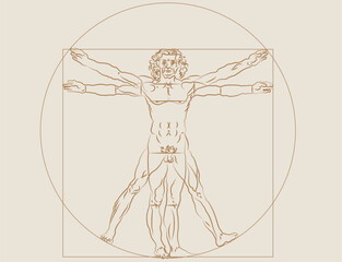 Human proportion sketch Leonardo Da Vinci vector cmyk illustration simplified 