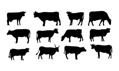 Set of cows. Black silhouette cow isolated on white. Hand drawn vector illustration