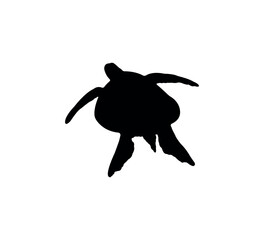 Turtle silhouette on white background