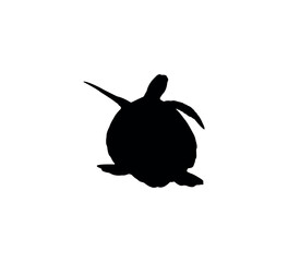 Turtle silhouette on white background