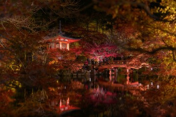Red bridge and the reflection of colorful fairy trees at night by Daigo-ji temple in Kyoto, Japan
