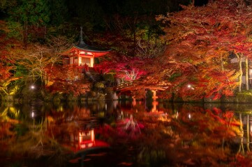 Scenic night shot of a still pond and red trees around  Daigo-ji temple in Kyoto, Japan