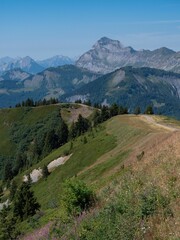 Fototapeta na wymiar Landscape of Mountain in the alps in front of Mont Blanc range in France, vertical shot