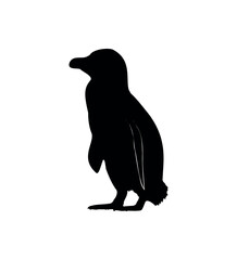 Fototapeta premium Vector flat penguin silhouette isolated on white background