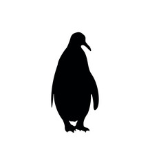 Vector flat penguin silhouette isolated on white background