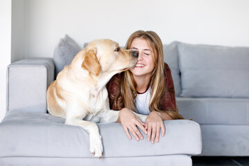 Laughing girl with a labrador dog have fun together, the dog confidentially touches the girl's face