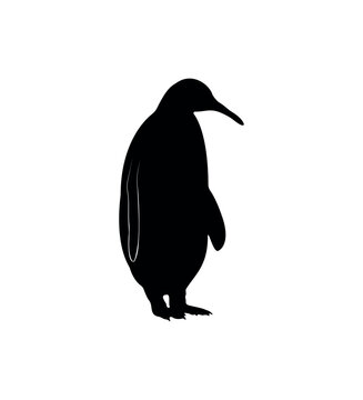 Vector flat penguin silhouette isolated on white background