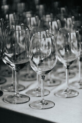 White wine poured into a glass by a waiter at a tasting in a restaurant.