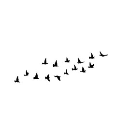 Obraz na płótnie Canvas Flying bird silhouette 