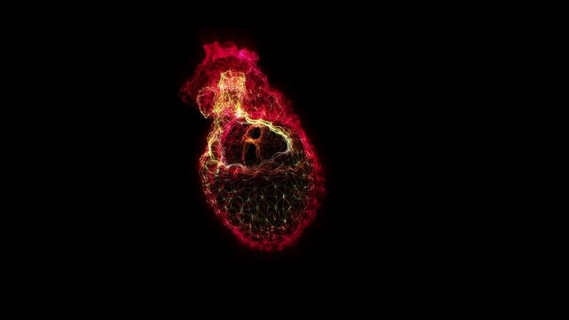 neon abstract human heart on a black background
