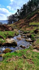 Fototapeta na wymiar Vertical shot of a narrow stony river in the Peak District National park