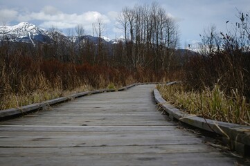 Fototapeta premium Wooden pathway in a mountainous landscape