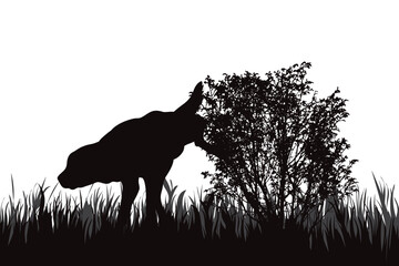 Vector silhouette of peeing dog in park on white background.