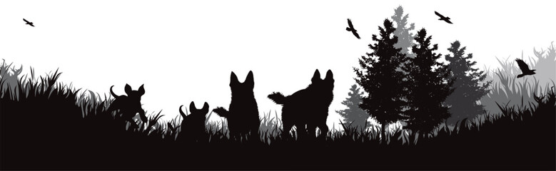 Vector silhouette of dogs playing in the grass in park. - 606773947