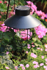 lamp in the park