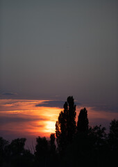 sunset over the trees