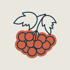 Rowan branch with berries and leaf vector icon