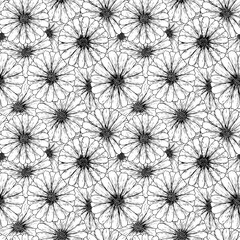 Botanical hand drawn seamless pattern made of ink pen daisy flowers,top view. Simple minimalistic line art floral background in vintage style on white.