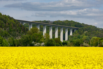 Canola field and Hörseltal bridge in Thuringia