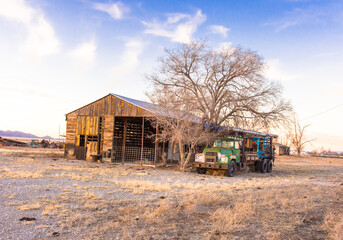 Abandoned truck, shed, and tree at sunset, Stanley, New Mexico