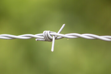 barbed wire on a fence